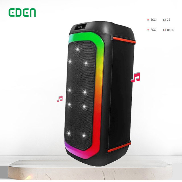 Dual 6.5 Inch bluetooth Speaker Wireless Large Capacity Speaker High Disco Light Portable BT Speaker
