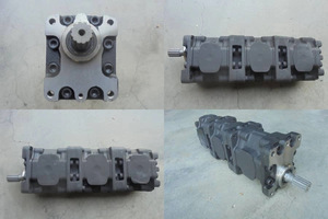 क्रेन गियर पंप के लिए 3034-3034 2525 एगल हाइड्रोलिक तेल पंप - Product Image 4