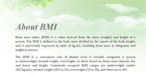 HW-600น้ำหนักตัว<span class=keywords><strong>คน</strong></span>เครื่องชั่งน้ำหนัก BMI เครื่องดิจิตอลเหรียญความสูงและเครื่องชั่งน้ำหนัก - Product Image 5