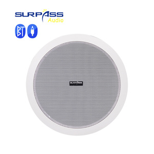 Altavoces de techo activos de alta fidelidad BT510 Bluetooth Amplificador de clase D incorporado Altavoz de pared BT de rango completo para audio de sistema de alimentación de 10W - Product Image 2