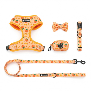 Arnés Ajustable Acolchado de Neopreno para Perro con Correa, Soporte para Bolsas de Excrementos y Pañuelo, Conjunto de Arnés para Perro Tipo Step-in, Fabricación OEM ODM - Product Image 2