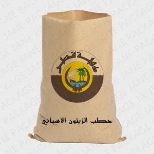 Jane Package 25kg Desiccated Coconut Fine Grade Chemical Resin Packaging Plain Kraft Paper Laminated Pp Woven Bag