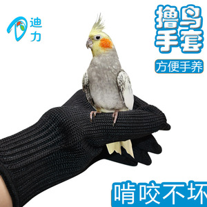 Gants de protection pour la manipulation des perroquets, gants pour perroquets tigrés et pivoineux, accessoires pour oiseaux, gants en fil d'acier - Product Image 2