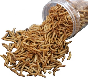 Hot <strong>Sale</strong> Wholesale High Quality Tenebrio Molitor Dried Mealworm High-Protein Organic <strong>for</strong> Birds Food with Vitamins &amp; Minerals - Product Image 2
