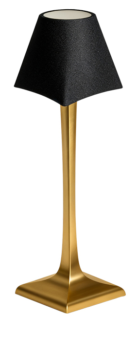 Type 1