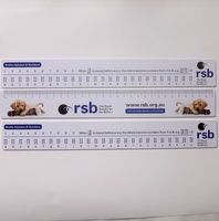 Cadeaux promotionnels en gros - Règles souples en PVC, adaptées à la personnalisation scolaire. Formes et couleurs personnalisables sont disponibles.