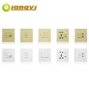Professional Factory Custom Asian Standard Two Gang One Way Home Wall Light Switch