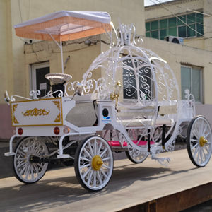 Carruaje de Caballos de Estilo Real Más Vendido, Carruaje Eléctrico Elegante para Bodas y Turismo - Product Image 1