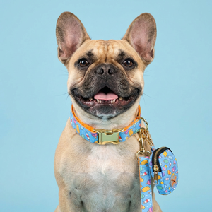 Nouvel Arrivage Harnais de Luxe Anti-Traction pour Chien avec Plaque d'Identification, Réglable, pour Chiens de Petite, Moyenne et Grande Taille - Product Image 3