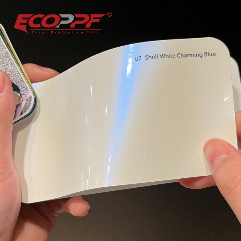 Shell Blanco Azul Encantador