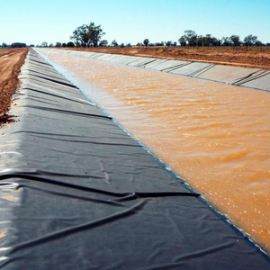 Eco-Friendly <strong>HDPE</strong> Geomembrane Fish Tank Dam Pond <strong>Liner</strong> with 5+ Year Warranty at Low Price - Product Image 2