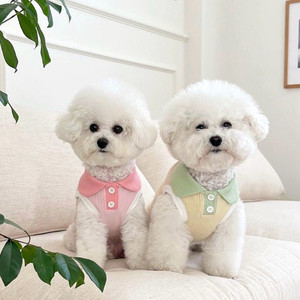 Gilet anti-chute de poils pour petits chiens, motif chat, respirant, style polo, nouvelle collection printemps-été 2026 - Product Image 3