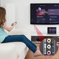 Câble audio USB C vers 2 RCA, cordon séparateur stéréo Y RCA auxiliaire mâle Type-C vers RCA compatible avec le cinéma maison, le haut-parleur, etc.