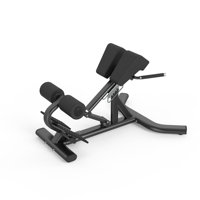 Chaise romaine professionnelle, banc d'hyperextension, équipement de gym commercial pour l'entraînement de la force du bas du dos et du tronc BFT-6011