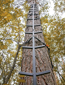 2025 tốt nhất Đầy đủ bước leo thang thanh cho cây đứng, Hươu săn bắn bánh và phụ kiện, đầy đủ bước, 25ft - Product Image 2