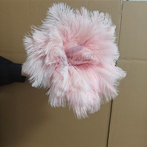 <span class=keywords><strong>Plumeau</strong></span> en Plumes d'Autruche de Haute Qualité, Emballage Personnalisable, Lavable, pour Usage Domestique - Product Image 6