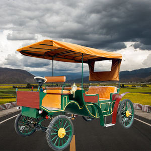 Caleches Turísticas 2025, Carretas Europeas Tiradas por Caballos, Carruajes para Bodas, Carruaje Eléctrico OEM - Product Image 5