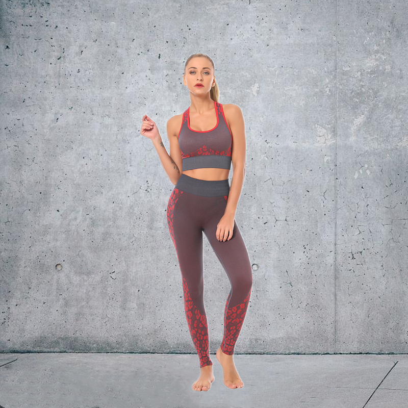 HOT Sale 5 colors Fashion Modern Breathable Workout Clothing Popular Women Active Wear Yoga Set hygroscopic
