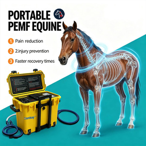 Popular Handheld Pemf Magnato Machine Equine Inflammation Reduction Animal PEMF Therapy Machine for Horse Farm - Product Image 1