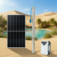 Bomba de jardín sumergible solar de CC sin escobillas de alta presión de 4 pulgadas con impulsor de plástico, flujo de 0.5 m³/h, 3 años de garantía, OEM