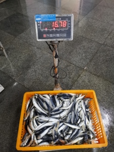 <span class=keywords><strong>ปลา</strong></span>ซาร์ดี<span class=keywords><strong>น</strong></span>ยอดนิยม <span class=keywords><strong>ปลา</strong></span>ซาร์ดี<span class=keywords><strong>น</strong></span>เซเว่นสตาร์ <span class=keywords><strong>ปลา</strong></span>ซาร์ดี<span class=keywords><strong>น</strong></span>แช่แข็งสำหรับอาหารกระป๋อง - Product Image 3