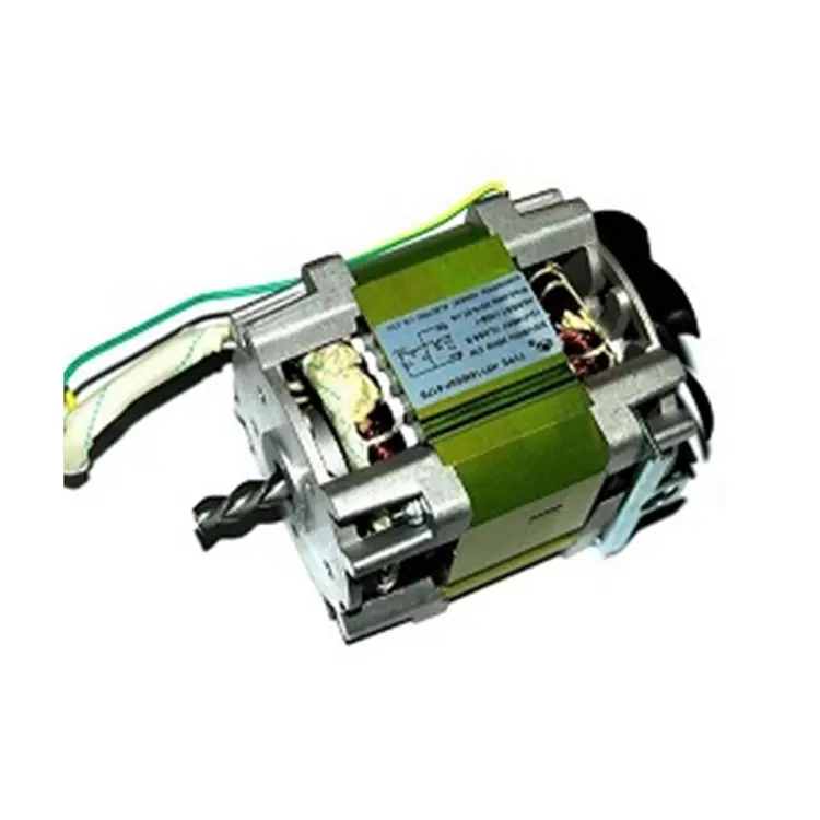 Penjualan Laris Motor Ac Fase Tunggal 250W, 250/295W Rpm 360W Ev untuk Penghancur