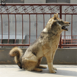 Figura de lobo de plástico suave para decoración del hogar, animal de tamaño real, peludo, hecho a medida, nuevo producto increíble - Product Image 3