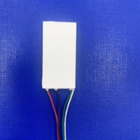 Module de refroidissement thermoélectrique TEC Peltier 40*20mm pour ventilateur de cou à haute efficacité de refroidissement