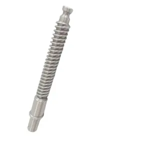 OEM customized stainless steel worm gear screw shaft