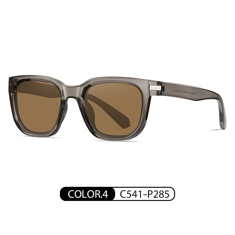 สีน้ำตาลเทาอ่อน C541-P285