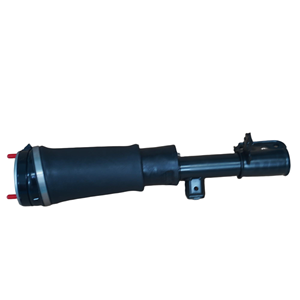 Amortiguadores de Suspensión Neumática Delanteros Derechos RNB000740 Compatibles con Land Rover Range Rover L322 LR032563 - Product Image 6