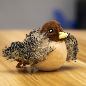 New Arrival tương tác dễ thương Pet đồ chơi sang trọng điện chim hình dạng mèo đồ chơi - Product Image 3