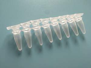 Tubos de Microcentrífuga/PCR de Plástico <span class=keywords><strong>PP</strong></span> Transparente para Laboratório, E.O. Estéreis, Ópticos, 0.2ml, 0.5ml, <span class=keywords><strong>1.5ml</strong></span>, 2ml, 8-Strip, Personalizáveis - Product Image 5