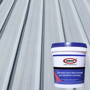 Wholesale CABERRY Factory Metal Roof Waterproofing Thermal Insulation Paints