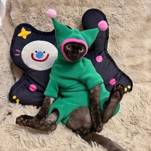 Automne hiver vêtements pour animaux de compagnie à quatre pattes dinosaure inspiré vêtements de <span class=keywords><strong>chat</strong></span> sans poils pour <span class=keywords><strong>Sphinx</strong></span> chats protection en Polyester Nylon - Product Image 2