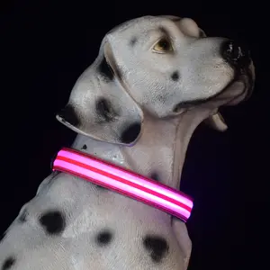 Nuovo colore solido incandescente collare per animali domestici ricaricabile guinzaglio personalizzato per cani con nastri per la decorazione