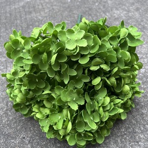 Hortensia vert doux fausses fleurs de mariage faites à la main hortensia unique & Bundle pour les occasions Pâques fête des mères nouvel an chinois - Product Image 1