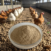 Aliment Composé pour Améliorer la Qualité des Œufs – Prémélange Avicole à Prix Compétitif, Idéal pour Poules Pondeuses – Aliment Composé pour Poulets Pondeurs