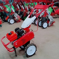 Mesin Pengolah Tanah Bertenaga Bensin, Kultivator Mikro Kecil, Mesin Pengolah Tanah Dorong untuk Persiapan Tanah Kebun dan Pertanian