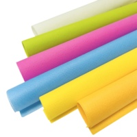 Matériau de sac RPET écologique recycler le tissu non tissé en polyester
