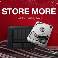Disco Duro Interno NAS Pro de 10 TB, CMR de 3.5 Pulgadas, SATA 6 Gb/s, 7200 RPM, 256 MB de Caché, RAID (ST10000NT001)