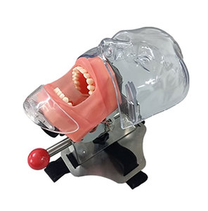 <strong>Dental</strong> <strong>Simulation</strong> Simple Head <strong>Unit</strong> ,<strong>dental</strong> Phantom Head - Product Image 1