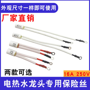 ฟิวส์กันความร้อนสำหรับก๊อกน้ำ 120 องศาเซลเซียส 16 แอมป์ 250 โวลต์ ป้องกันความร้อนเกินสำหรับก๊อกน้ำไฟฟ้า - Product Image 4