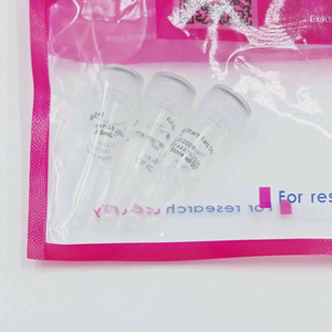 Mezcla <span class=keywords><strong>DNTP</strong></span> (grado PCR) 10 mM cada una, alta calidad para uso en investigación - Product Image 2