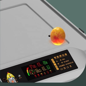 Máy Ấp Trứng Gà Tự Động Hoàn Toàn, Máy Ấp Trứng Mini Máy Ấp Trứng Đa Năng - Product Image 5