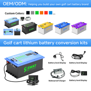 Paquete de batería de coche de golf eléctrico LiFePO4 36V 48V 72V 96V 100Ah 200Ah 300Ah 400Ah Paquete de batería de hierro de litio - Product Image 6
