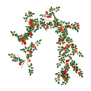 Guirlande de roses artificielles en soie plastique, 180 cm, légère, pour décoration intérieure - Product Image 3