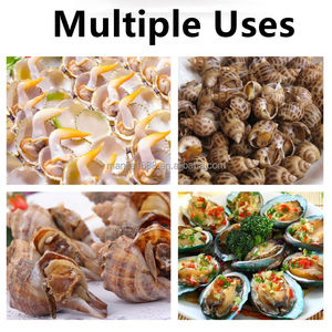 Plat <span class=keywords><strong>à</strong></span> escargots en acier inoxydable Manjia, plats <span class=keywords><strong>à</strong></span> champignons avec pinces et fourchettes <span class=keywords><strong>à</strong></span> escargots, outils pour fruits de mer, ensemble d'outils de service pour escargots français - Product Image 3