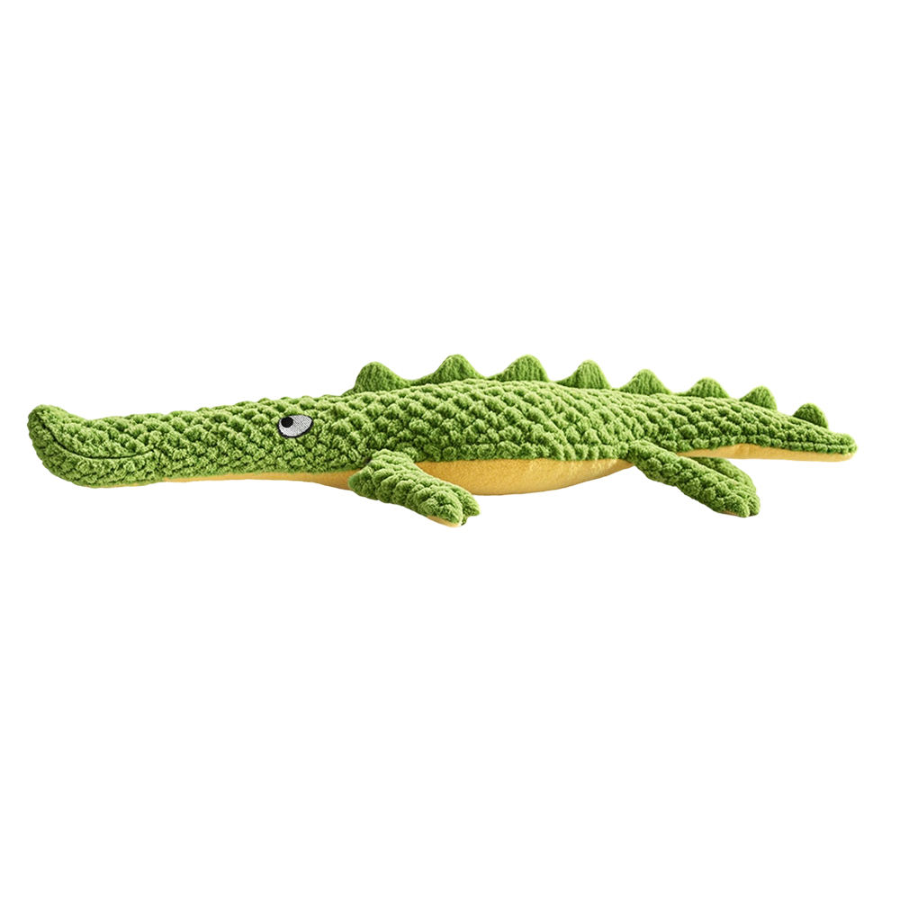Crocodile