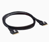 Câble SFF 8654 8I SlimSAS 24 Gbit/s 74 broches droit-vers-droit pour solution de stockage de serveur Blade en rack de centre de données